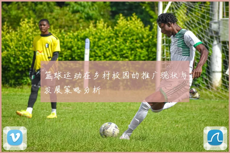 篮球运动在乡村校园的推广现状与发展策略分析