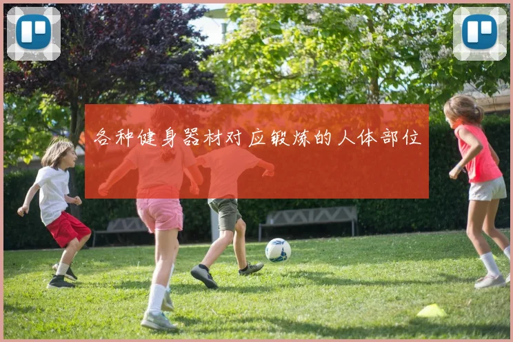 各种健身器材对应锻炼的人体部位