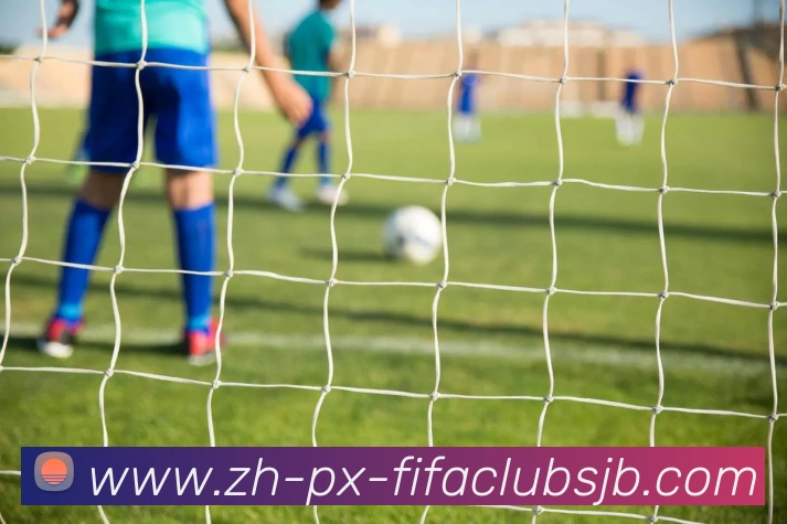 世界杯赛程平台生态图